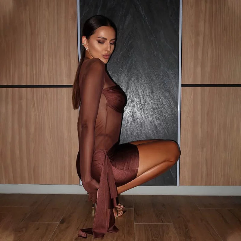 Wcoumq | Mesh-Spliced Slim-Fit Long-Sleeve Dress with Hip Slit