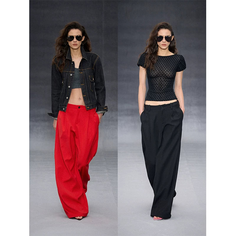 Wcoumq | Low-Waist Three-Dimensional Pleated Wide-Leg Drape Suit Pants – Stylish Women's High-Fashion Trousers